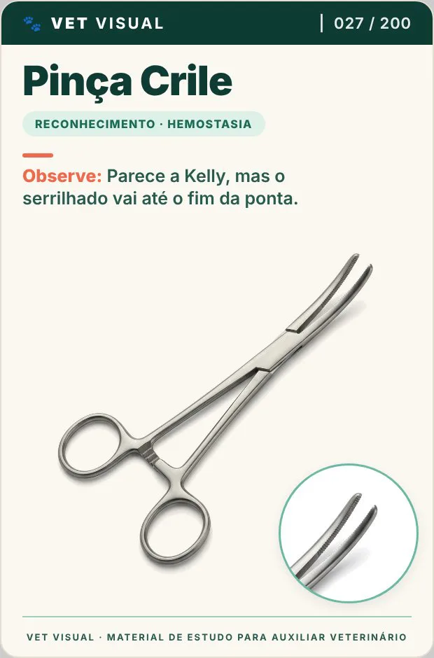 Card Pinça Crile: parece a Kelly, mas o serrilhado vai até o fim da ponta