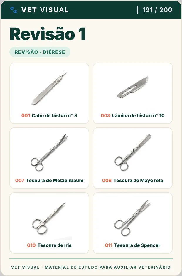 Card de revisão por grupo de instrumentos
